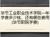 毕节工业职业技术学院一年学费多少钱，还有哪些费用(毕节职院学费)