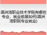 湄洲湾职业技术学院有哪些专业，就业前景如何(湄洲湾职院专业就业)