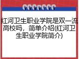 红河卫生职业学院是双一流高校吗，简单介绍(红河卫生职业学院简介)