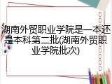 湖南外贸职业学院是一本还是本科第二批(湖南外贸职业学院批次)