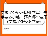 安徽涉外经济职业学院一年学费多少钱，还有哪些费用(安徽涉外经济学费)