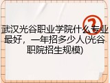 武汉光谷职业学院什么专业最好，一年招多少人(光谷职院招生规模)
