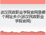 武汉民政职业学院官网是哪个网址多少(武汉民政职业学院官网)