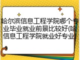 哈尔滨信息工程学院哪个专业毕业就业前景比较好(哈信息工程学院就业好专业)