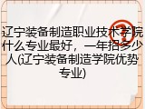 辽宁装备制造职业技术学院什么专业最好，一年招多少人(辽宁装备制造学院优势专业)