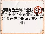 湖南有色金属职业技术学院哪个专业毕业就业前景比较好(湖南有色职院好就业专业)