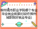 柳州城市职业学院哪个专业毕业就业前景比较好(柳州城职院好就业专业)