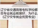 辽宁省交通高等专科学校哪些专业就业前景好，为什么(辽宁交专就业优势专业)