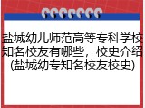 盐城幼儿师范高等专科学校知名校友有哪些，校史介绍(盐城幼专知名校友校史)