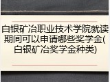 白银矿冶职业技术学院就读期间可以申请哪些奖学金(白银矿冶奖学金种类)