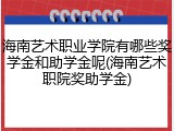海南艺术职业学院有哪些奖学金和助学金呢(海南艺术职院奖助学金)