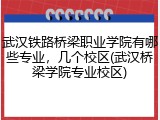 武汉铁路桥梁职业学院有哪些专业，几个校区(武汉桥梁学院专业校区)