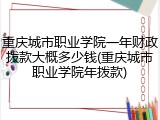 重庆城市职业学院一年财政拨款大概多少钱(重庆城市职业学院年拨款)