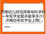 济南幼儿师范高等专科学校一年奖学金最多能拿多少(济南幼专奖学金上限)