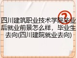 四川建筑职业技术学院毕业后就业前景怎么样，毕业生去向(四川建院就业去向)