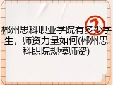 郴州思科职业学院有多少学生，师资力量如何(郴州思科职院规模师资)