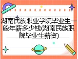 湖南民族职业学院毕业生一般年薪多少钱(湖南民族职院毕业生薪资)