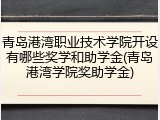 青岛港湾职业技术学院开设有哪些奖学和助学金(青岛港湾学院奖助学金)