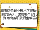 湖南商务职业技术学院招生编码多少，隶属哪个部门(湖南商务职院招生编码)