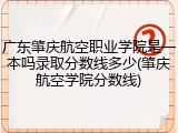 广东肇庆航空职业学院是一本吗录取分数线多少(肇庆航空学院分数线)