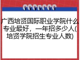 广西培贤国际职业学院什么专业最好，一年招多少人(培贤学院招生专业人数)