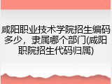 咸阳职业技术学院招生编码多少，隶属哪个部门(咸阳职院招生代码归属)