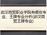 武汉商贸职业学院有哪些专业，王牌专业分析(武汉商贸王牌专业)