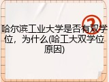 哈尔滨工业大学是否有双学位，为什么(哈工大双学位原因)