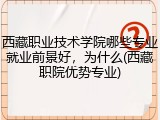 西藏职业技术学院哪些专业就业前景好，为什么(西藏职院优势专业)