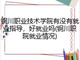 铜川职业技术学院有没有就业指导，好就业吗(铜川职院就业情况)