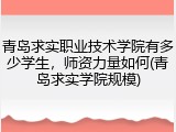 青岛求实职业技术学院有多少学生，师资力量如何(青岛求实学院规模)