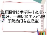 合肥职业技术学院什么专业最好，一年招多少人(合肥职院热门专业招生)