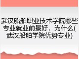 武汉船舶职业技术学院哪些专业就业前景好，为什么(武汉船舶学院优势专业)