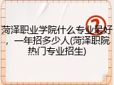 菏泽职业学院什么专业最好，一年招多少人(菏泽职院热门专业招生)