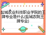 盐城农业科技职业学院的王牌专业是什么(盐城农院王牌专业)