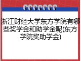 浙江财经大学东方学院有哪些奖学金和助学金呢(东方学院奖助学金)