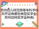 苏州幼儿师范高等专科学校共开设有哪些类型奖学金(苏州幼师奖学金种类)