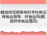 鹤岗师范高等专科学校有没有就业指导，好就业吗(鹤岗师专就业情况)