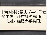 上海对外经贸大学一年学费多少钱，还有哪些费用(上海对外经贸大学费用)