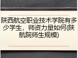 陕西航空职业技术学院有多少学生，师资力量如何(陕航院师生规模)
