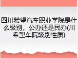 四川希望汽车职业学院是什么级别，公办还是民办(川希望车院级别性质)