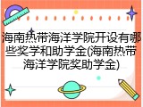 海南热带海洋学院开设有哪些奖学和助学金(海南热带海洋学院奖助学金)