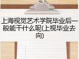 上海视觉艺术学院毕业后一般能干什么呢(上视毕业去向)