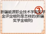 新疆能源职业技术学院奖学金评定细则是怎样的(新疆奖学金细则)
