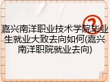 嘉兴南洋职业技术学院毕业生就业大致去向如何(嘉兴南洋职院就业去向)