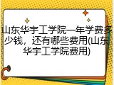山东华宇工学院一年学费多少钱，还有哪些费用(山东华宇工学院费用)
