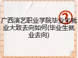 广西演艺职业学院毕业生就业大致去向如何(毕业生就业去向)