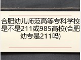 合肥幼儿师范高等专科学校是不是211或985高校(合肥幼专是211吗)