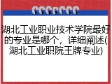 湖北工业职业技术学院最好的专业是哪个，详细阐述(湖北工业职院王牌专业)