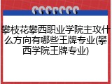 攀枝花攀西职业学院主攻什么方向有哪些王牌专业(攀西学院王牌专业)